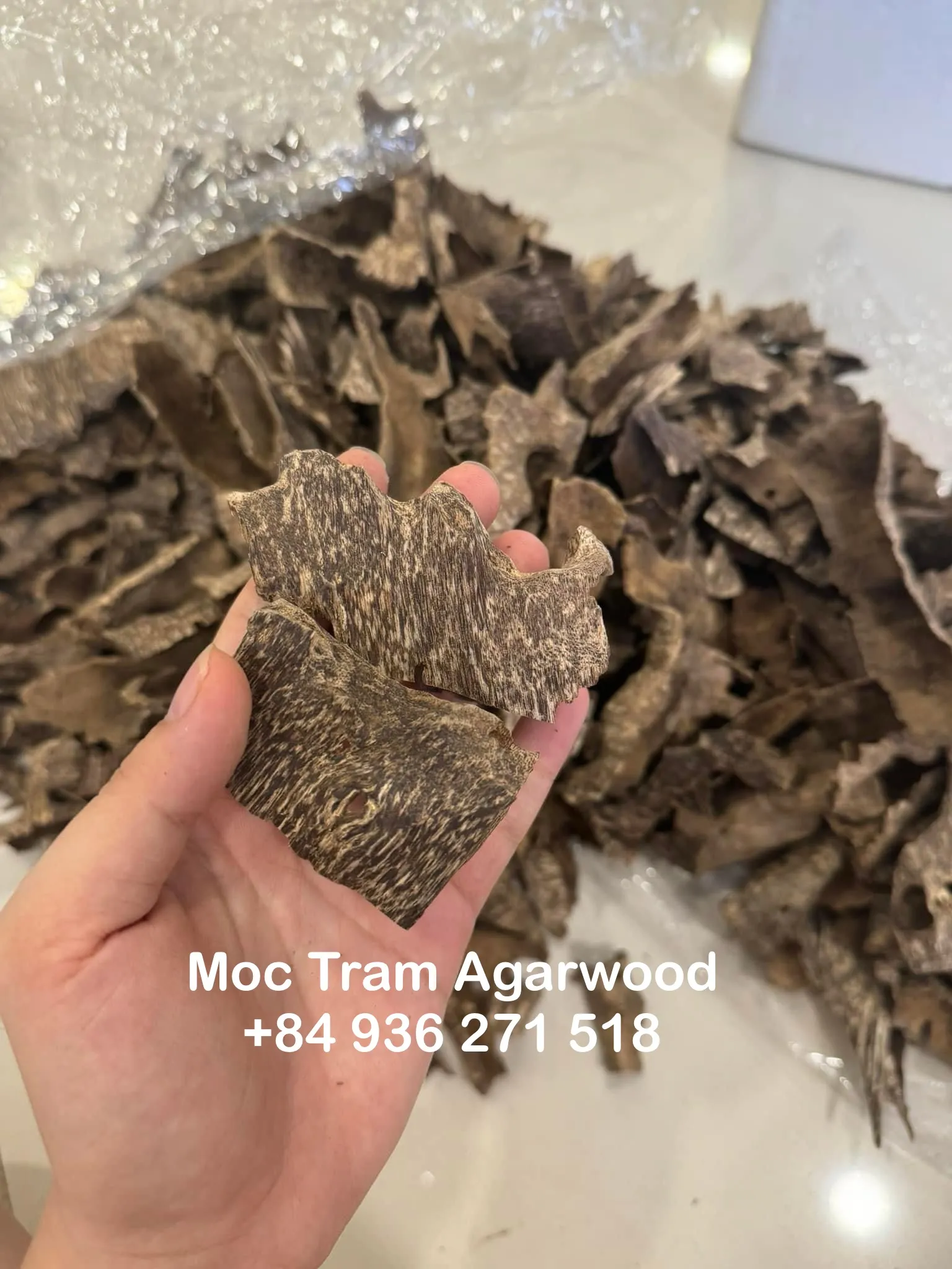 Premium Drilled Agarwood Chips – High-Grade Vietnamese Oud (Plantation Cultivated)